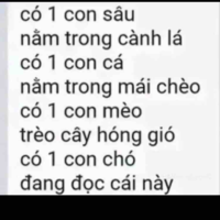Tác xinh yêu nè