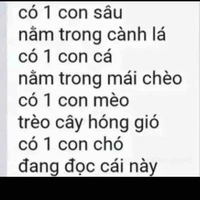 Tác xinh yêu nè