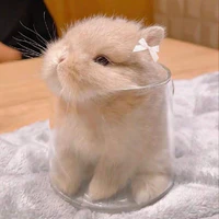 nhon nhon