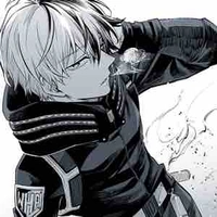 Todoroki Shoto (Shoto)