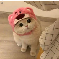 Tác giả