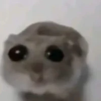 Tắc xả