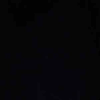 Đàn Em 1 ( Tiểu Hắc )