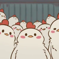 Mấy chú gà