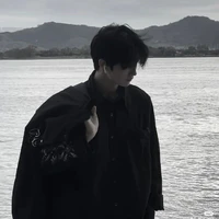 Lưu Hàng Song Tử