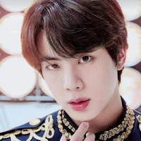 kim seokjin ( cô)