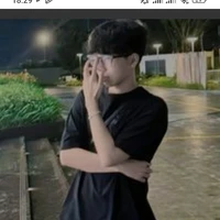 phoenix _ hữu đạt