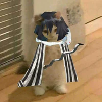 t/g