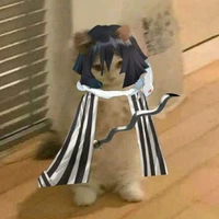 t/g