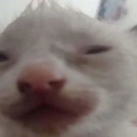 Hòa