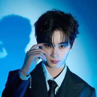 Đinh Trình Hâm(anh¹)