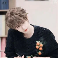 Hạ Tuấn Lâm
