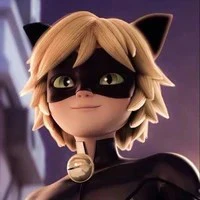 catnoir