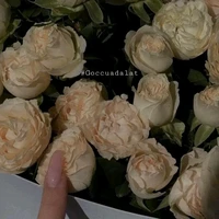 bẹp bẹp