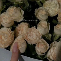 bẹp bẹp