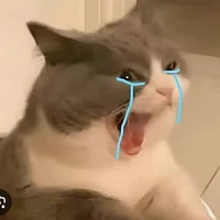 Sốp nè 😎