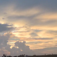 NV bí ẩn