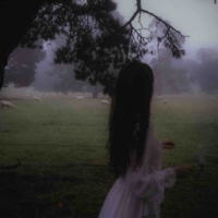 @Authorlily🕊️