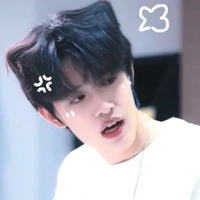 Trương Cực-anh