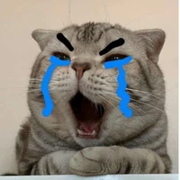 Khánh Linh (tác giả)