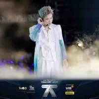 Trần Đăng Dương - Dương Domic