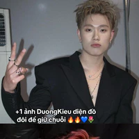 dương domic