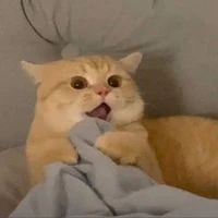 tác giả báo:)