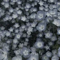■■■
