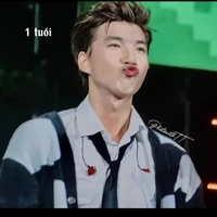 Sunday(các phụ hiếu)