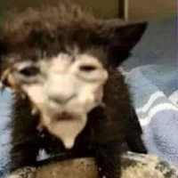 Tác giả đâyyyy