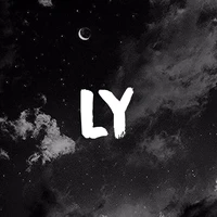 Lee Young
