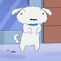 shiro