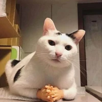 Tác giả đen đủi:))