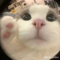 Tác giả