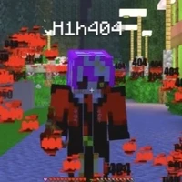 h1h404