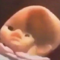 🗿