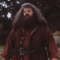 Rubeus Hagrid
