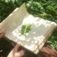 Bạc hà (tác giả)