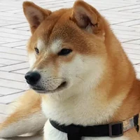 Đàn em