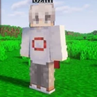 Ozin