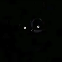 ? ? ?
