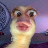 all