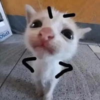 tui nè
