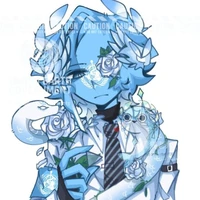 World Health Organization