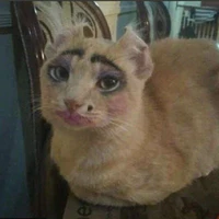 elmeno