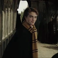 Cedric Diggory 