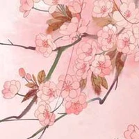 Mọi người