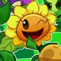 Baby Sunflower