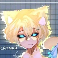 hiha anti catnap