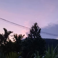 Tác giả lười 🦥 